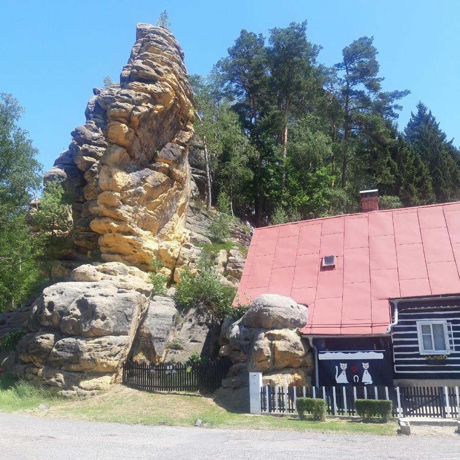 Penzion Na Vysluni Ceske Svycarsko Jiřetín pod Jedlovou Zewnętrze zdjęcie